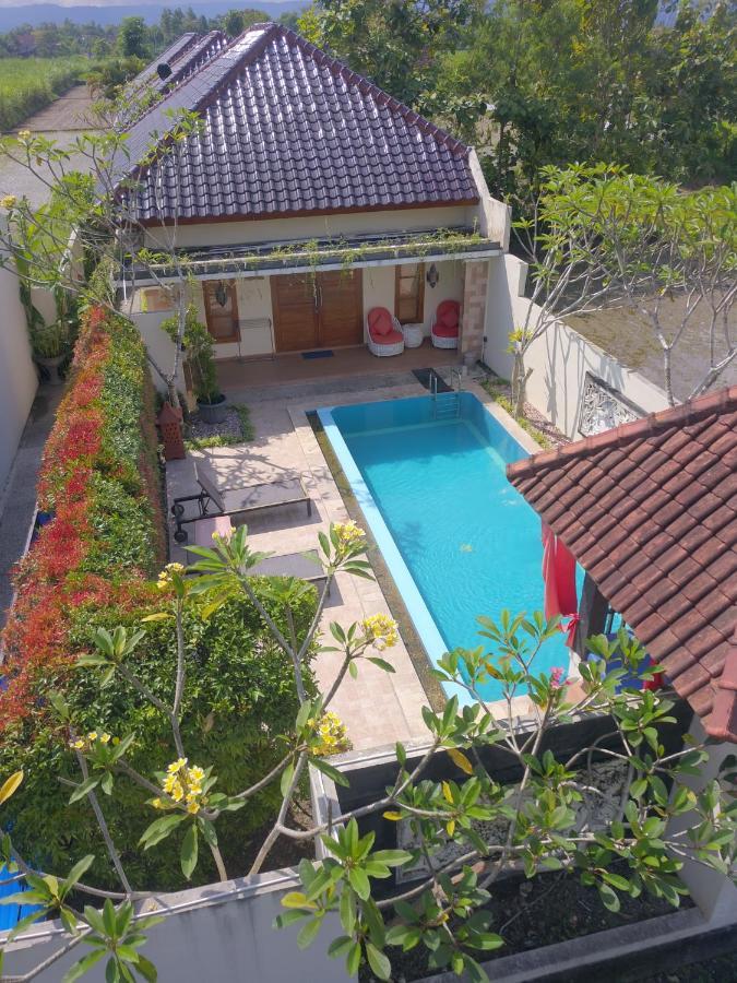 Villa Rosseno - Evelyn Private Pool And Garden Yogyakarta Exterior foto